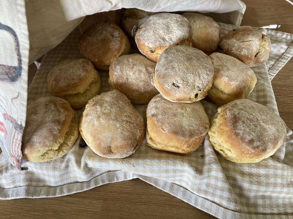 Sheena's oven scones baked from Tan's recipe